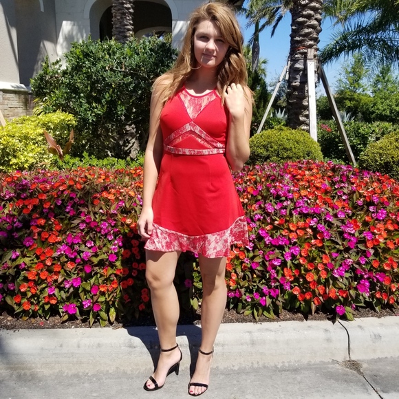 Red Tan Lace Skater Dress with Lace Back - Picture 7 of 7